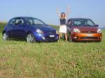 Ford Fiesta 2003 года